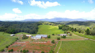 343 Gadaloff Road Butchers Creek QLD 4885