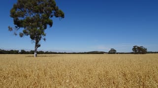 Lot 11 Yilliminning Road Boundain WA 6312 Lot 11 Yilliminning Road Boundain WA 6312