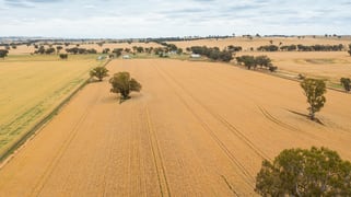 'Rugby'/8 Schlenkers Rd Henty NSW 2658