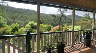 1003 Roseberry Creek Road Roseberry Creek NSW 2474 1003 Roseberry Creek Road Roseberry Creek NSW 2474
