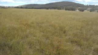 Emmaville NSW 2371