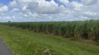 249 Hills Road Welcome Creek QLD 4670