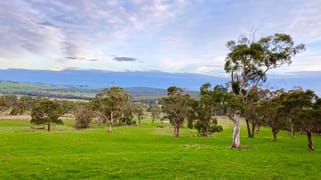 - Timboon-Colac Road Scotts Creek VIC 3267