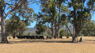 Lot 2 Wonwondah-Dadswells Bridge Road Laharum VIC 3401 Lot 2 Wonwondah-Dadswells Bridge Road Laharum VIC 3401