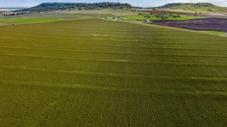 525 Holley Road Mount Molar QLD 4361 525 Holley Road Mount Molar QLD 4361