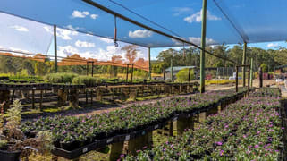 Parkland Wholesale Nursery Tinonee NSW 2430