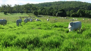24 Petersen Road Koumala QLD 4738 24 Petersen Road Koumala QLD 4738