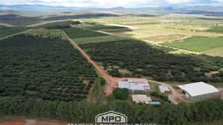 1463 Mareeba-Dimbulah Road Arriga QLD 4880