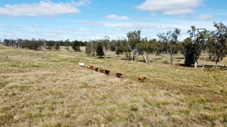 5614 Surat Development Road Glenmorgan QLD 4423