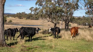 580 Odeas Road Elbow Valley QLD 4370