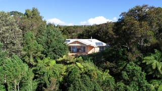 26 Bandicoot Lane Springbrook QLD 4213