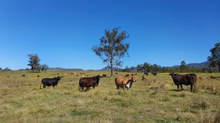 Gladstone-Monto Road Boyne Valley QLD 4680