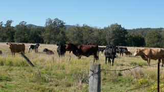 83 Farm Road Bonalbo NSW 2469