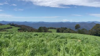 Rosedale/681 Rocky Creek Road Dorrigo NSW 2453 Rosedale/681 Rocky Creek Road Dorrigo NSW 2453