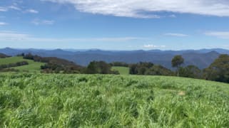 Rosedale/681 Rocky Creek Road Dorrigo NSW 2453