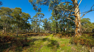 Lake Gorrie Road Macarthur VIC 3286