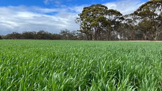 . 'Wells" Dangin North Road Quairading WA 6383