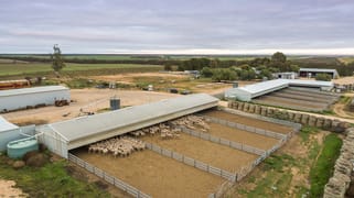 25, 35, 41 Maggea Road Waikerie SA 5330