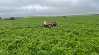 143 Richardson Road Cockaleechie SA 5631 143 Richardson Road Cockaleechie SA 5631