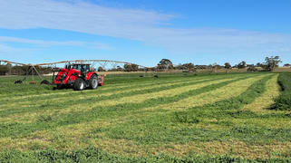 9653 Dukes Highway Tintinara SA 5266