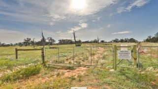 Tareena Station, Renmark Road Wentworth NSW 2648