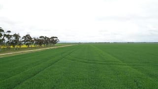 C/A 12 & 13 Elmore-Mitiamo Road Milloo VIC 3572