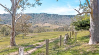 415 Lambs Valley Road Lambs Valley NSW 2335