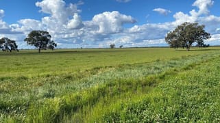 00 Peacock Road Kerang VIC 3579