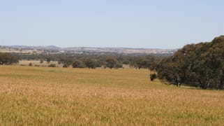 . Boramin & Mulukine Road Grass Valley WA 6403 . Boramin & Mulukine Road Grass Valley WA 6403