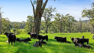 120 Murphys Road Lang Lang East VIC 3984