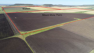 525 Holley Road Mount Molar QLD 4361 525 Holley Road Mount Molar QLD 4361