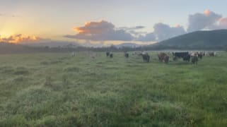 Mount Ossa QLD 4741 Mount Ossa QLD 4741