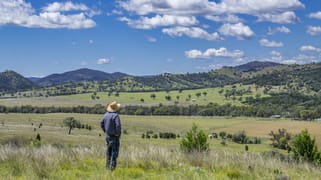 864 Mole River Road Tenterfield NSW 2372