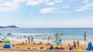 Terrigal NSW 2260