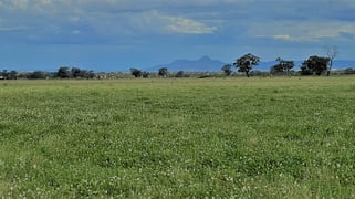 411 County Boundary Road Milbrulong NSW 2656