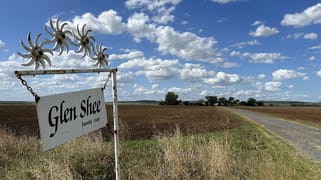 "Glen Shee"/0 McKenzie Road Oakey QLD 4401