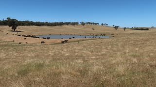 327 Wokolena Road Wagga Wagga NSW 2650
