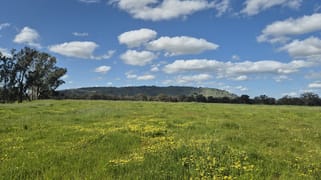 393 Mansfield Road Euroa VIC 3666 393 Mansfield Road Euroa VIC 3666