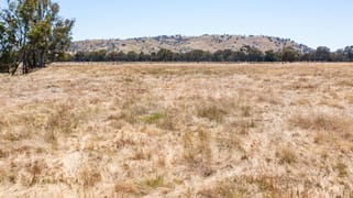 393 Mansfield Road Euroa VIC 3666
