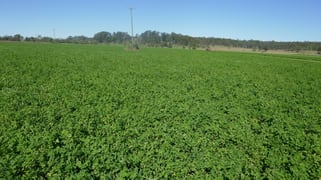 1521 Sextonville Road Kyogle NSW 2474