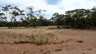 Section/143 Pine Creek Road Parnaroo SA 5422