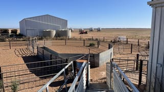 51124 EYRE HIGHWAY White Well Corner SA 5690