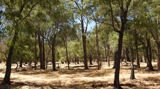 Lot 10 Marbellup Road, Jindong Busselton WA 6280 Lot 10 Marbellup Road, Jindong Busselton WA 6280