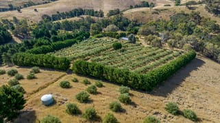 1302 Fish River Road Narrawa Via Crookwell NSW 2583 1302 Fish River Road Narrawa Via Crookwell NSW 2583
