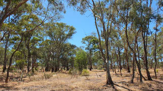 2760 Avoca-Bealiba Road Archdale VIC 3475