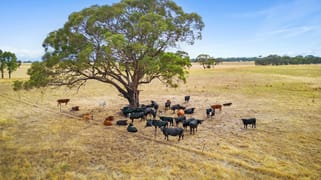 171 Dobie Road Toolleen VIC 3551