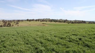 3/83 Yass Valley Way Manton NSW 2582