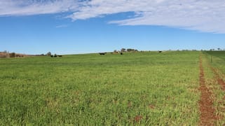 319 Back Glenrae Road Glenrae QLD 4626 319 Back Glenrae Road Glenrae QLD 4626