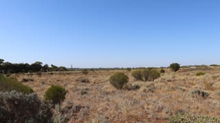 Lot 2 Hunt Road Barmera SA 5345