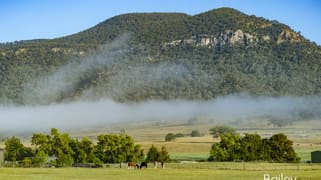 324 Doyles Creek Road Doyles Creek NSW 2330